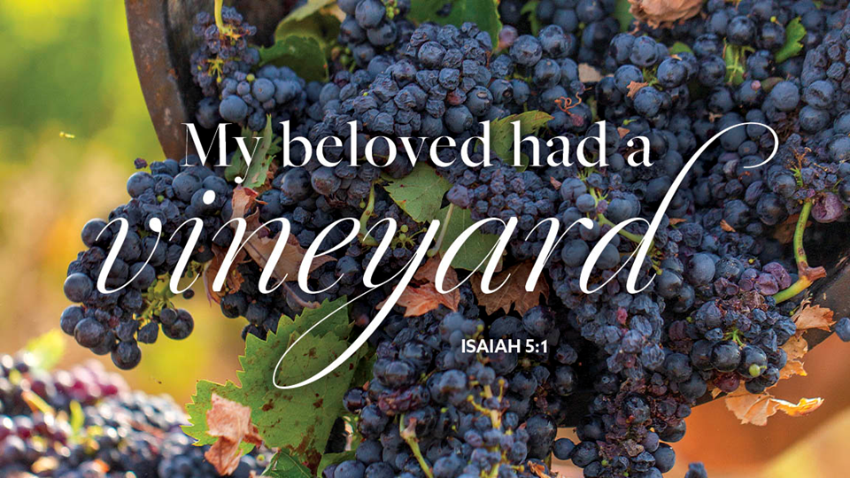 Online Worship: Sunday October 4