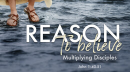 Multiplying Disciples