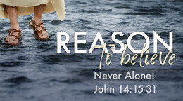 Never Alone!