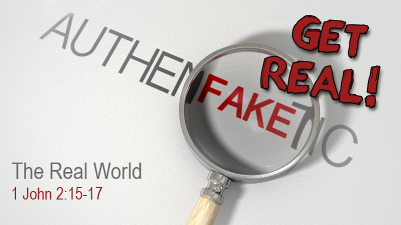 The Real World (2/19/17)