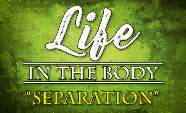 Separation (Video) episode artwork