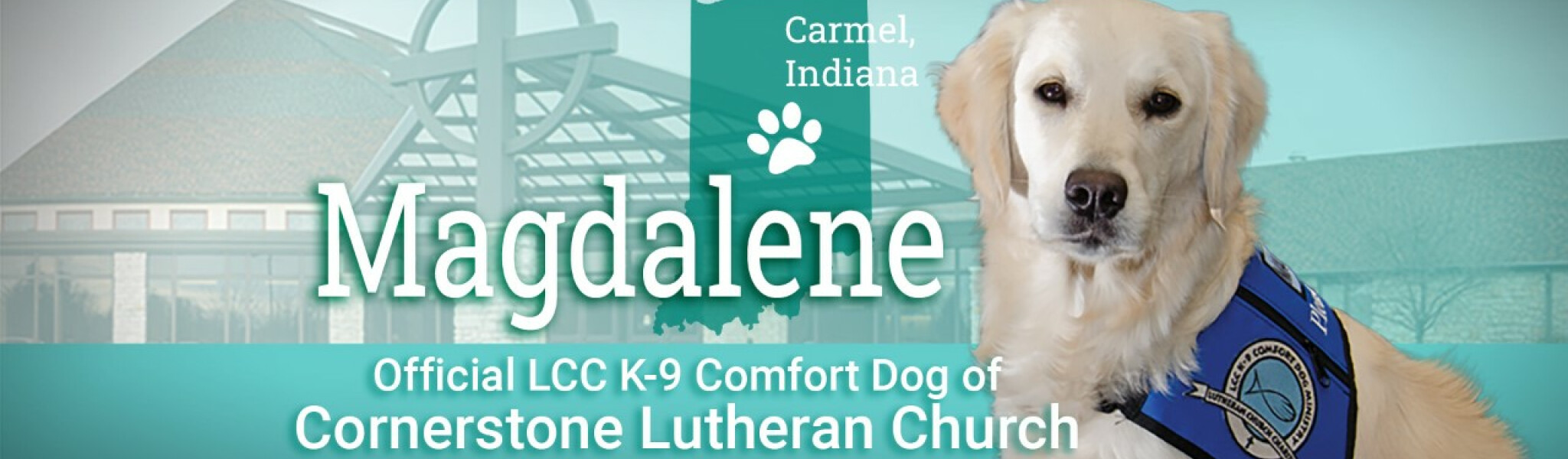 Comfort Dog | Cornerstone Lutheran Church | Cornerstone Lutheran Church