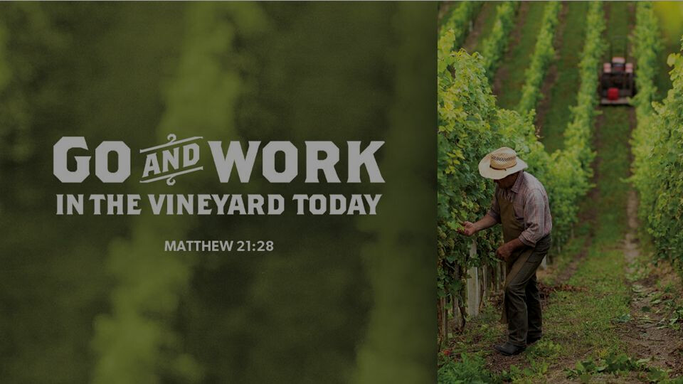 Online Worship: 18th Sunday after Pentecost