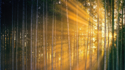 Persevering in Hope