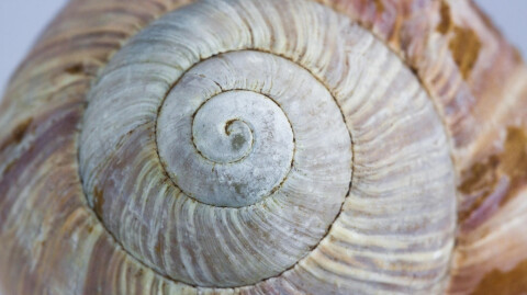 Spiraling Space