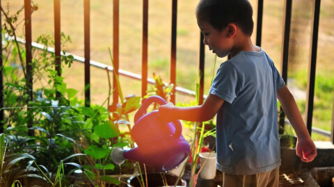 Tending the Garden