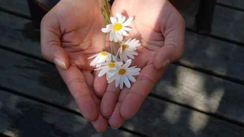 Living Abundantly
