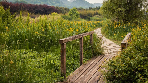 Living Beyond Scarcity