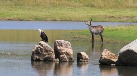 Make Responsible Choices