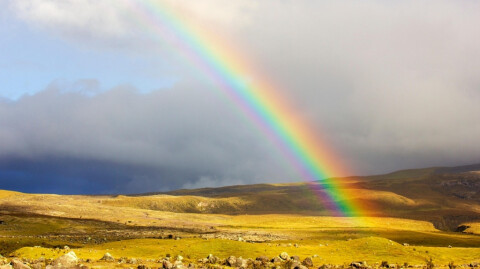 Everything Is a Gift