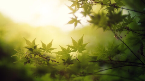 The Present Moment Is a Gift