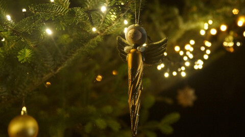 The Promise of Peace