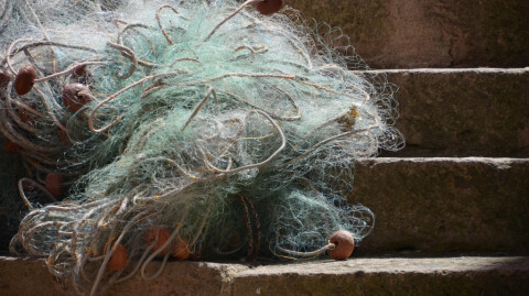 Full of New Possibilities