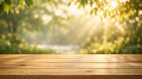 Room for All Creation