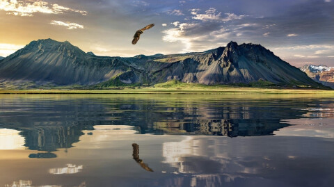 Hope in Creation