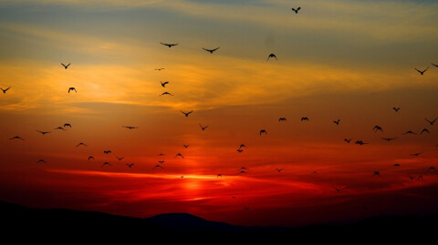 Abundant Possibilities