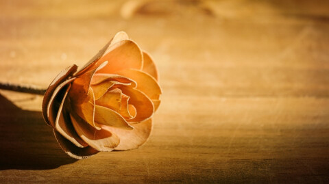 Emanating Generosity