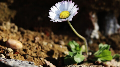Hope Is Found in the Spaces