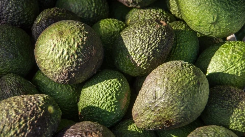 The Avocados