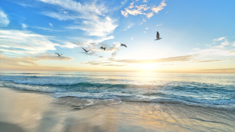 Until the Wind Blows