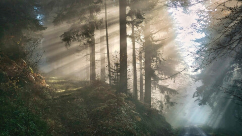 Walking in the Clouds