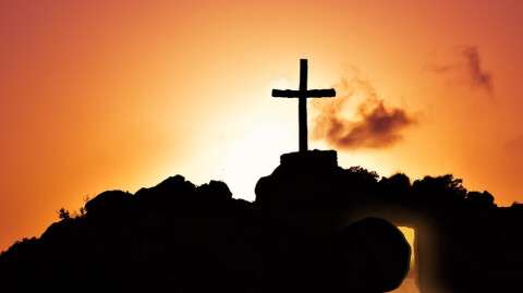 Shared and Sacred Community