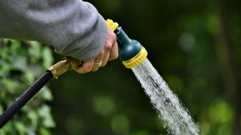 Meditations of a Gardener: Part 3