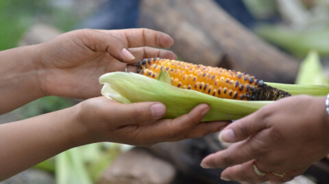 The Common Good