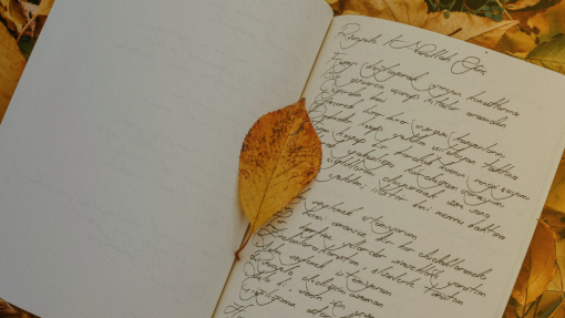 Being Thankful Regardless