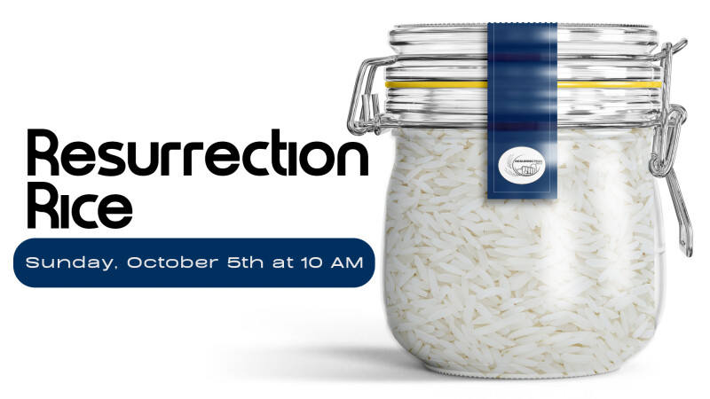 Resurrection Rice Collection