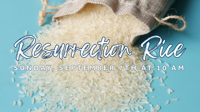 Resurrection Rice Collection
