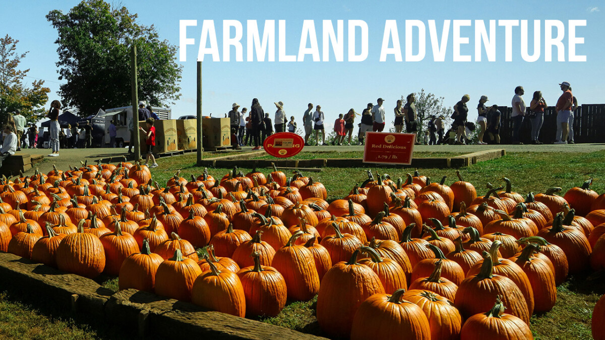Christ Kids Farmland Adventure