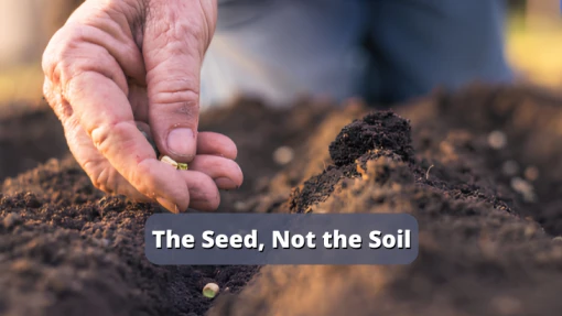 The Seed, Not the Soil