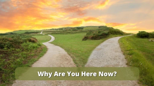 Why Are You Here Now?