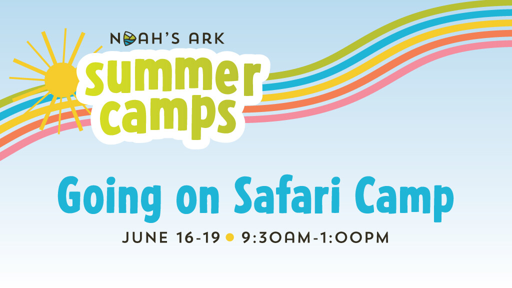 Noah's Ark Summer Camp - Going on Safari Camp