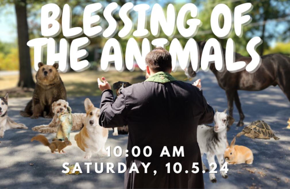 10:00 AM The Blessing of the Animals