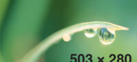 Rotator 5