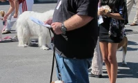 Barc 3
