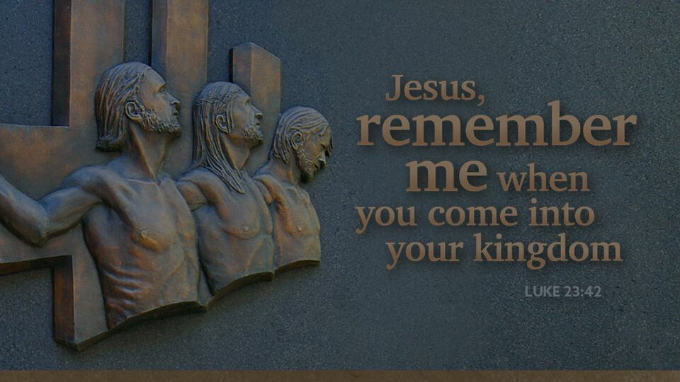 Watch November 23 Live Stream