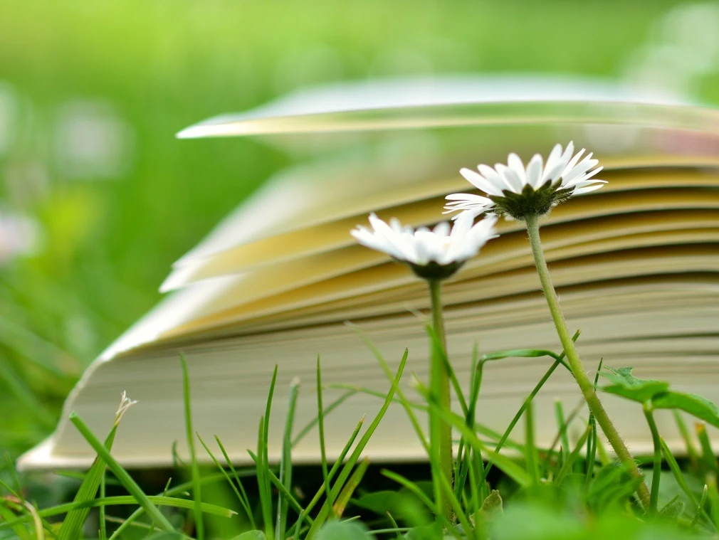 Summer Reading Challenge