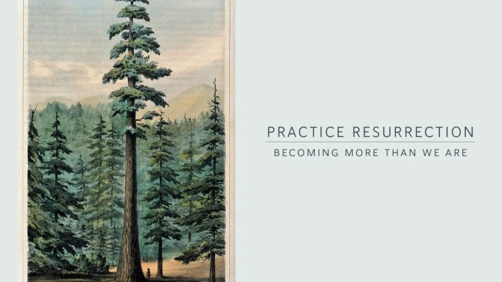 Practice Resurrection | Part II