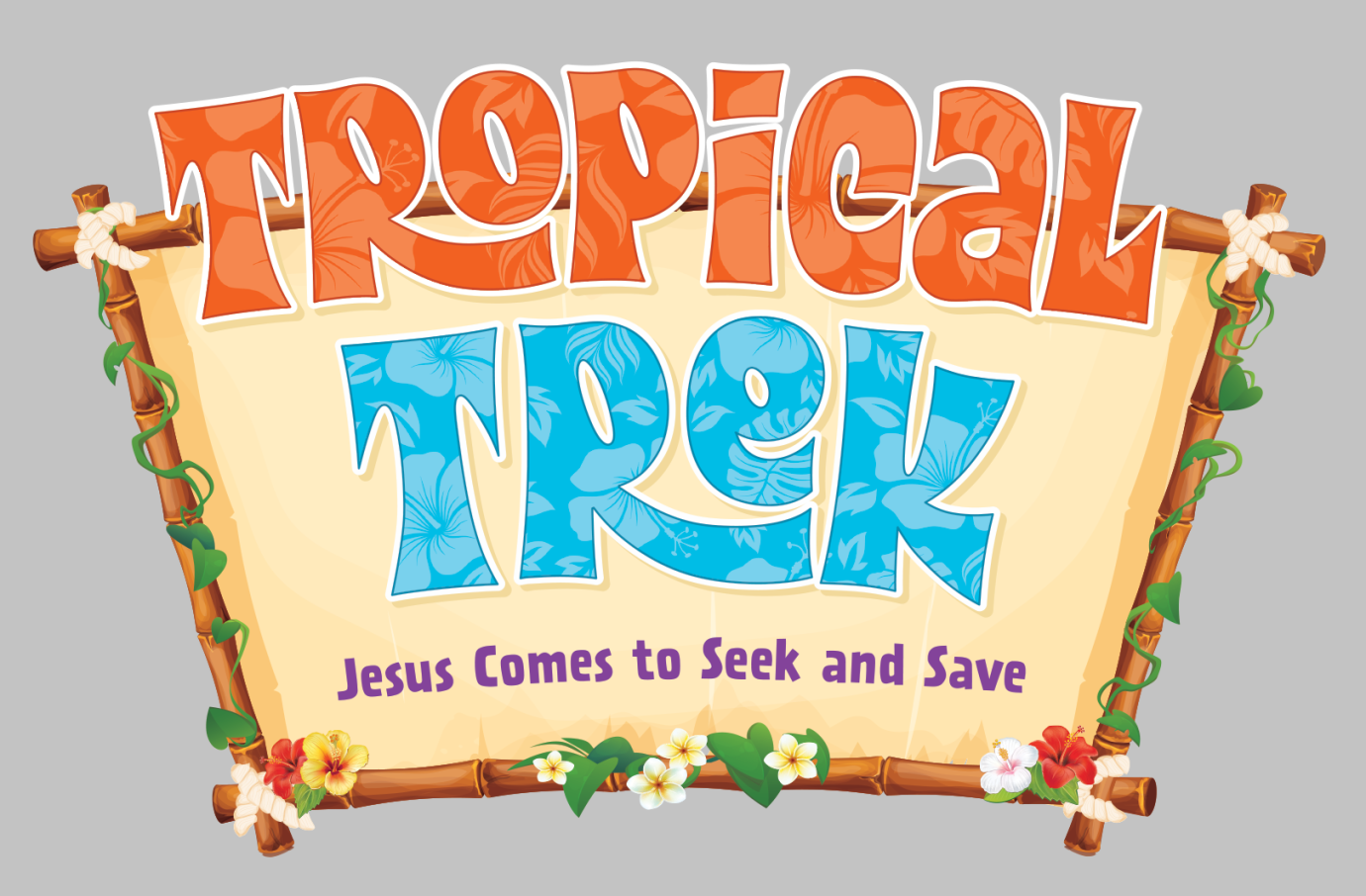 VBS WEEK
