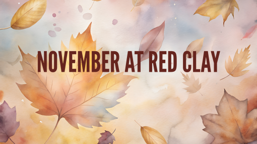 November Mailer 2025