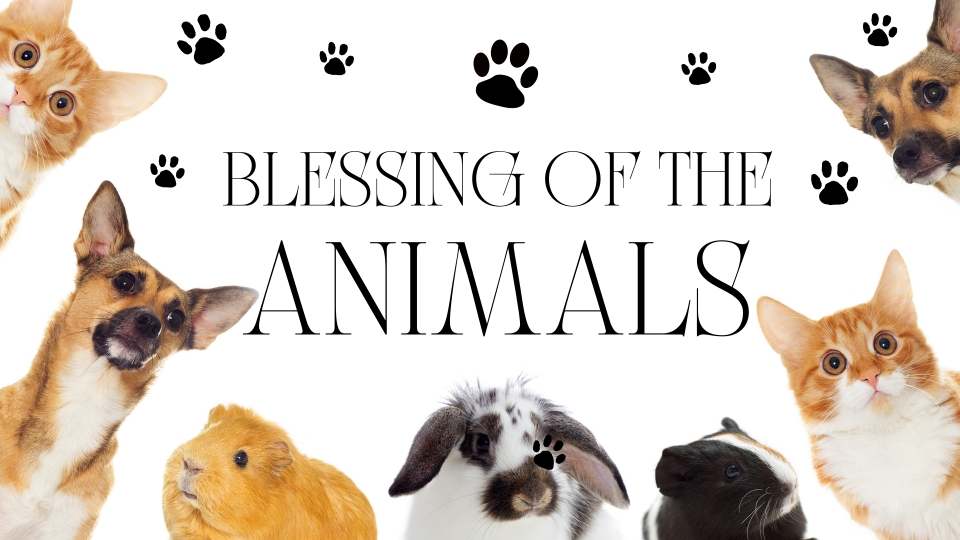 Blessing of the Animals