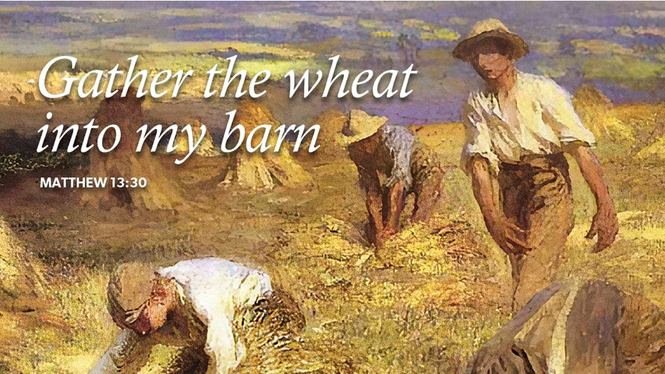 Online Worship: 8th Sunday after Pentecost