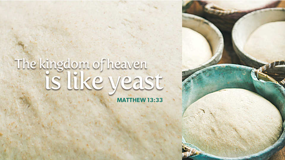 Online Worship: 9th Sunday after Pentecost