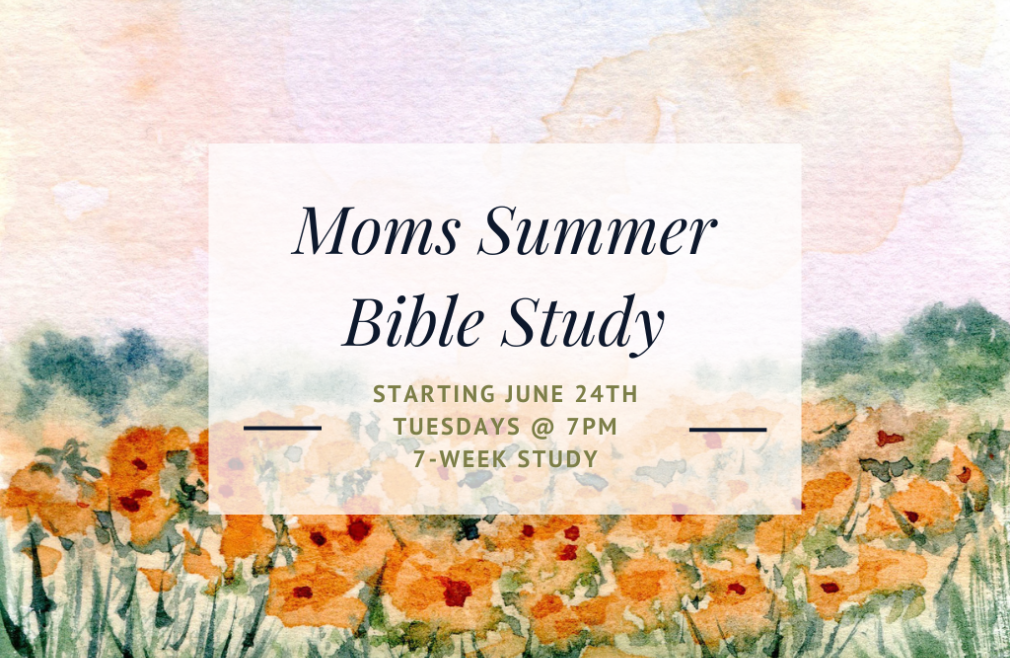 MOMs/UberMoms Summer Bible Study