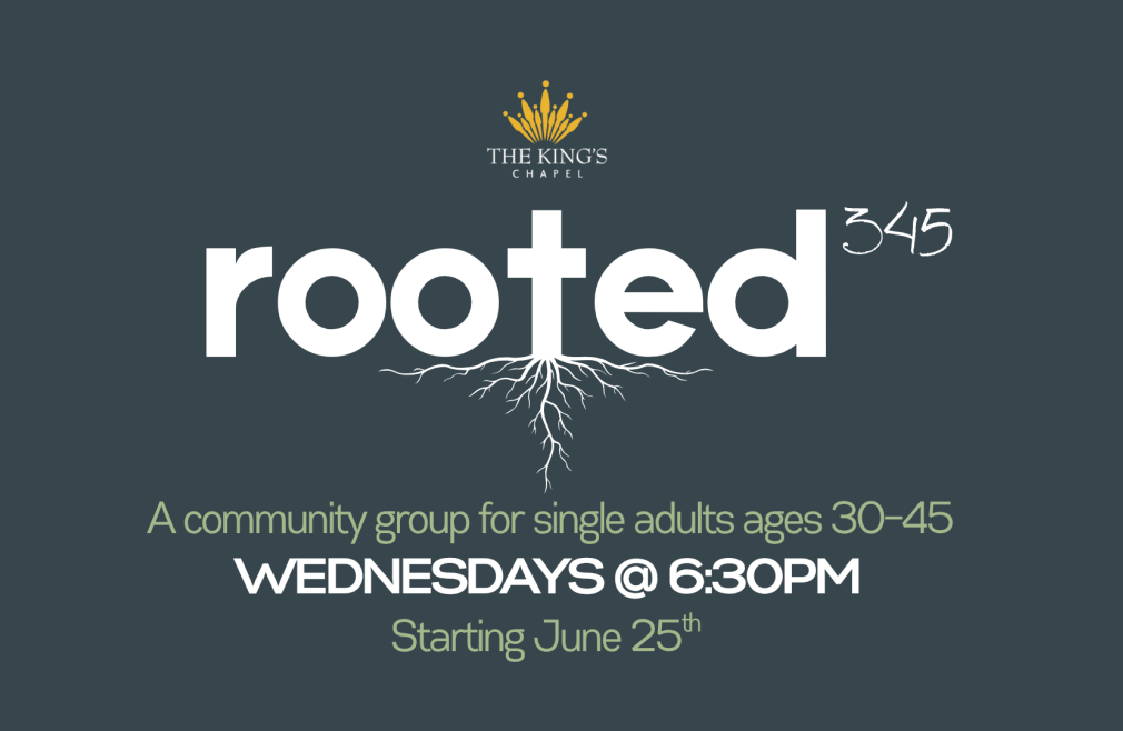 Rooted345: A Bible Study for Single Adults (Ages 30–45)