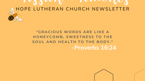 June 2025 Newsletter