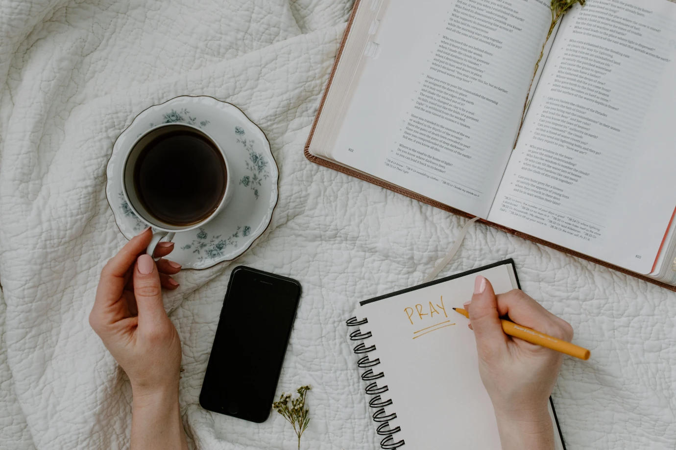 Landmark Women: A Women's Study Group at Lovers Lane